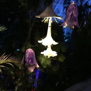 Meet your Posher, Mirna